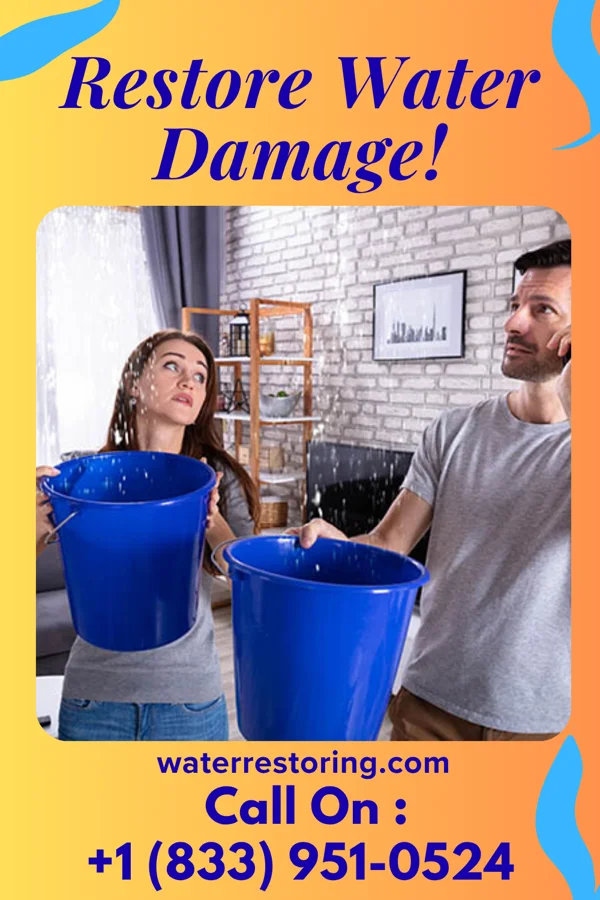 water restoration Diamond Disaster Cleanup Masters Shenandoah