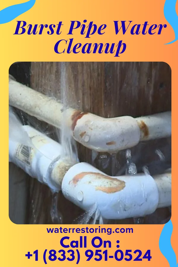 Burst Pipe Water Cleanup in Shenandoah, PA