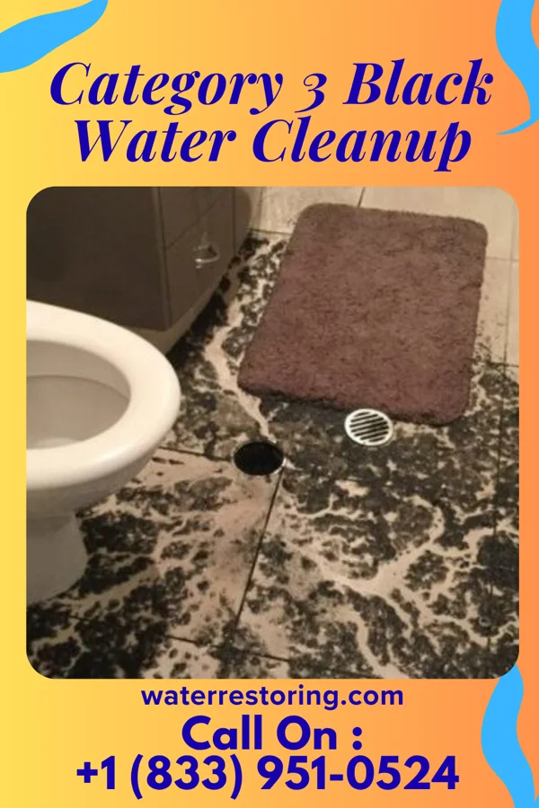 Category 3 Black Water Cleanup in Shenandoah, PA