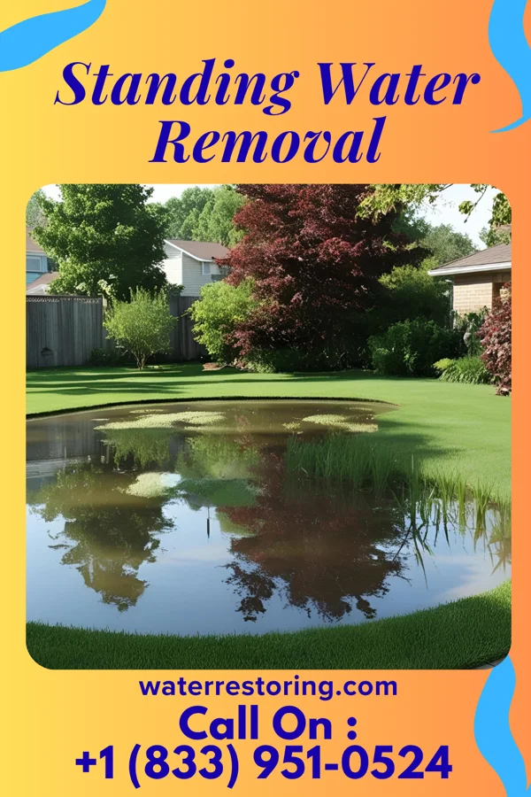 Standing Water Removal in Shenandoah, PA